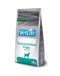 Farmina VetLife Cane Puppy Gastrointestinal Crocchette 2 kg