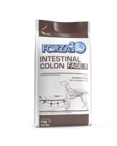 Forza10 Active Cane Adult Intestinal Colon Fase 1 Crocchette 4 kg