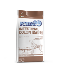 Forza10 Active Cane Adult Intestinal Colon Fase 2 Crocchette