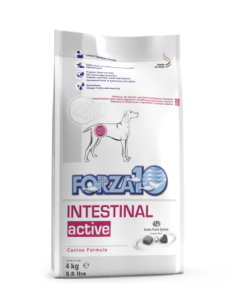 Forza10 Cane Adult Intestinal Active Monoproteico al Pesce Crocchette 4 kg