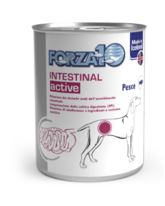 Forza10 Cane Adult Intestinal Active al Pesce Lattina 390 gr