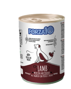 Forza10 Maintenance Cane Adult con Agnello Lattina 400 gr