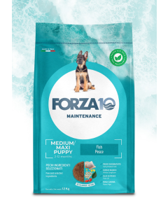 Forza10 Maintenance Cane Puppy e Junior Medium e Maxi al Pesce Crocchette 12,5 kg