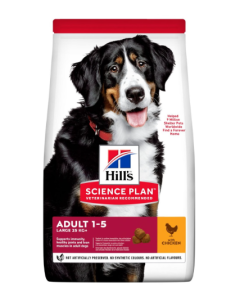 Hill's Science Plan Cane Adult Large Pollo Crocchette 12 kg