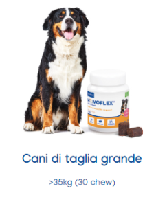 Movoflex Soft Chews Cane Taglia Grande 30 Compresse