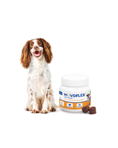 Movoflex Soft Chews Cane Taglia Media 30 Compresse