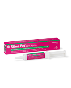 Nbf Lanes Ribes Pet pasta 30 gr