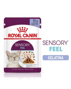 Royal Canin Gatto Adulto Sensory Feel in Gelatina Busta 85 gr