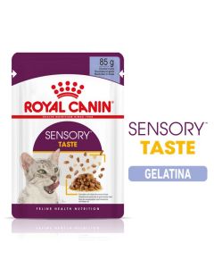 Royal Canin Gatto Adulto Sensory Taste in Gelatina Busta 85 gr