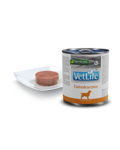 Farmina VetLife Cane Convalescence Lattina 300 gr