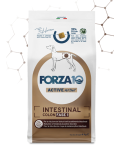 Forza10 Cane Adult Active VetDiet Intestinal Colon Fase 1 Crocchette 4 kg