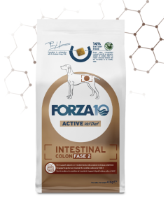 Forza10 Cane Adult Active VetDiet Intestinal Colon Fase 2 Crocchette