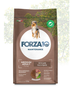 Forza10 Maintenance Cane Adult Medium Agnello Crocchette 12,5 kg