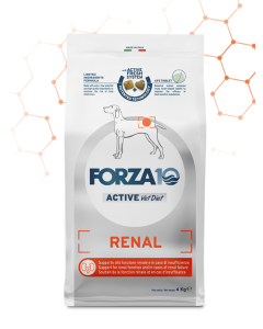 Forza10 Cane Adult Active VetDiet Renal al Pesce Crocchette 4 kg