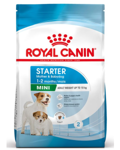 Royal Canin Cane Mini Starter Mother & Babydog Crocchette 1 kg