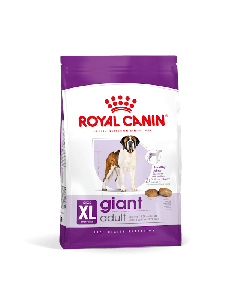 Royal Canin Cane Giant Adult Crocchette