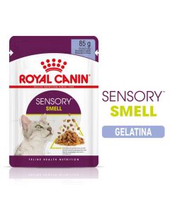 Royal Canin Gatto Adulto Sensory Smell in Gelatina Busta 85 gr