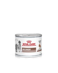 Royal Canin V-Diet Cane/Gatto Adult Recovery Mousse Lattina 195 gr