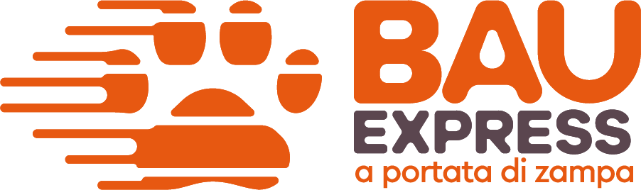 Bau Express